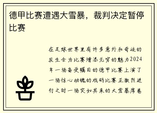 德甲比赛遭遇大雪暴，裁判决定暂停比赛