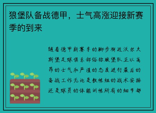 狼堡队备战德甲，士气高涨迎接新赛季的到来