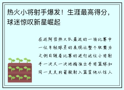 热火小将射手爆发！生涯最高得分，球迷惊叹新星崛起